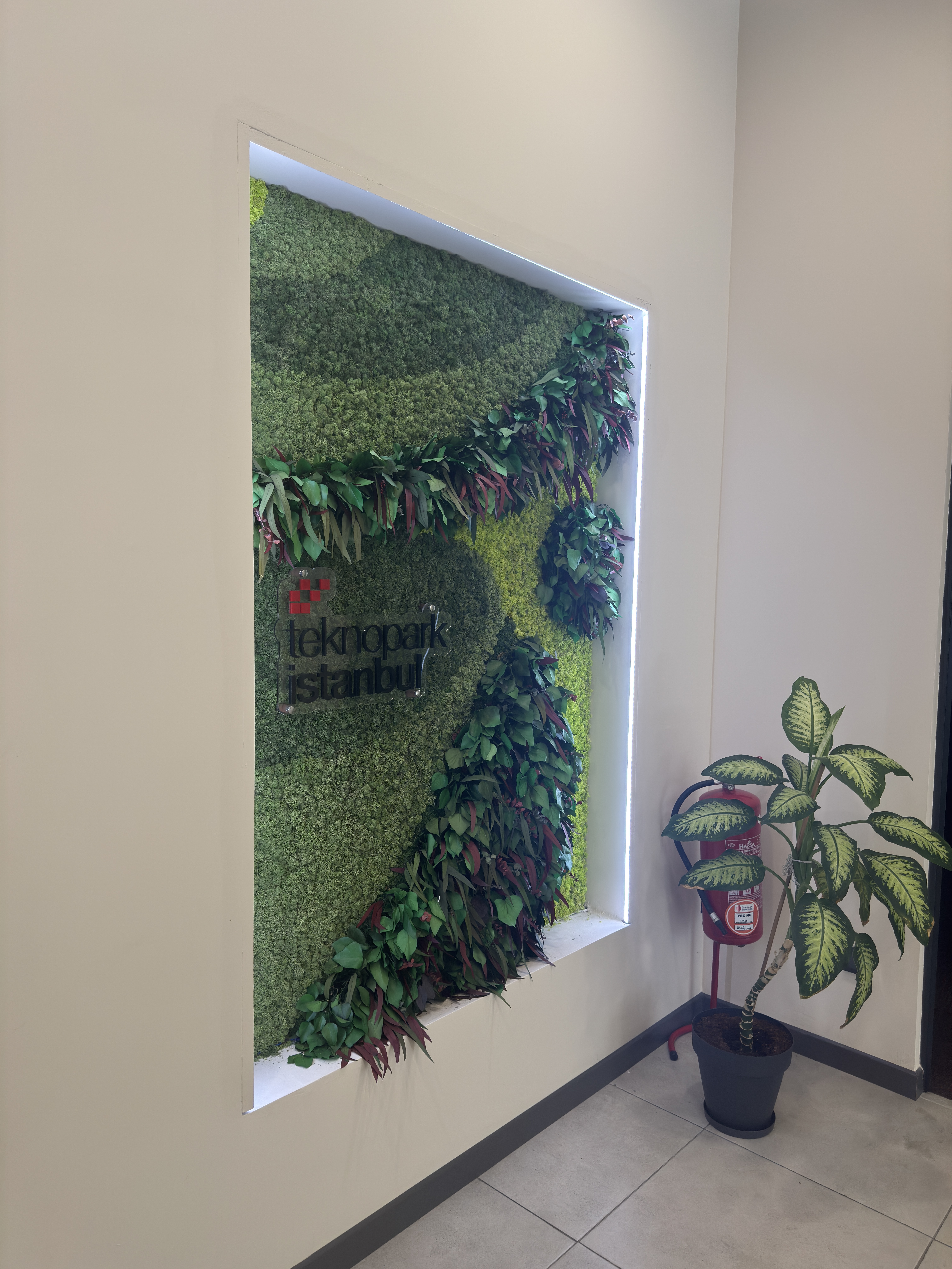 Teachfluence - Frontend Developer Intern image 3