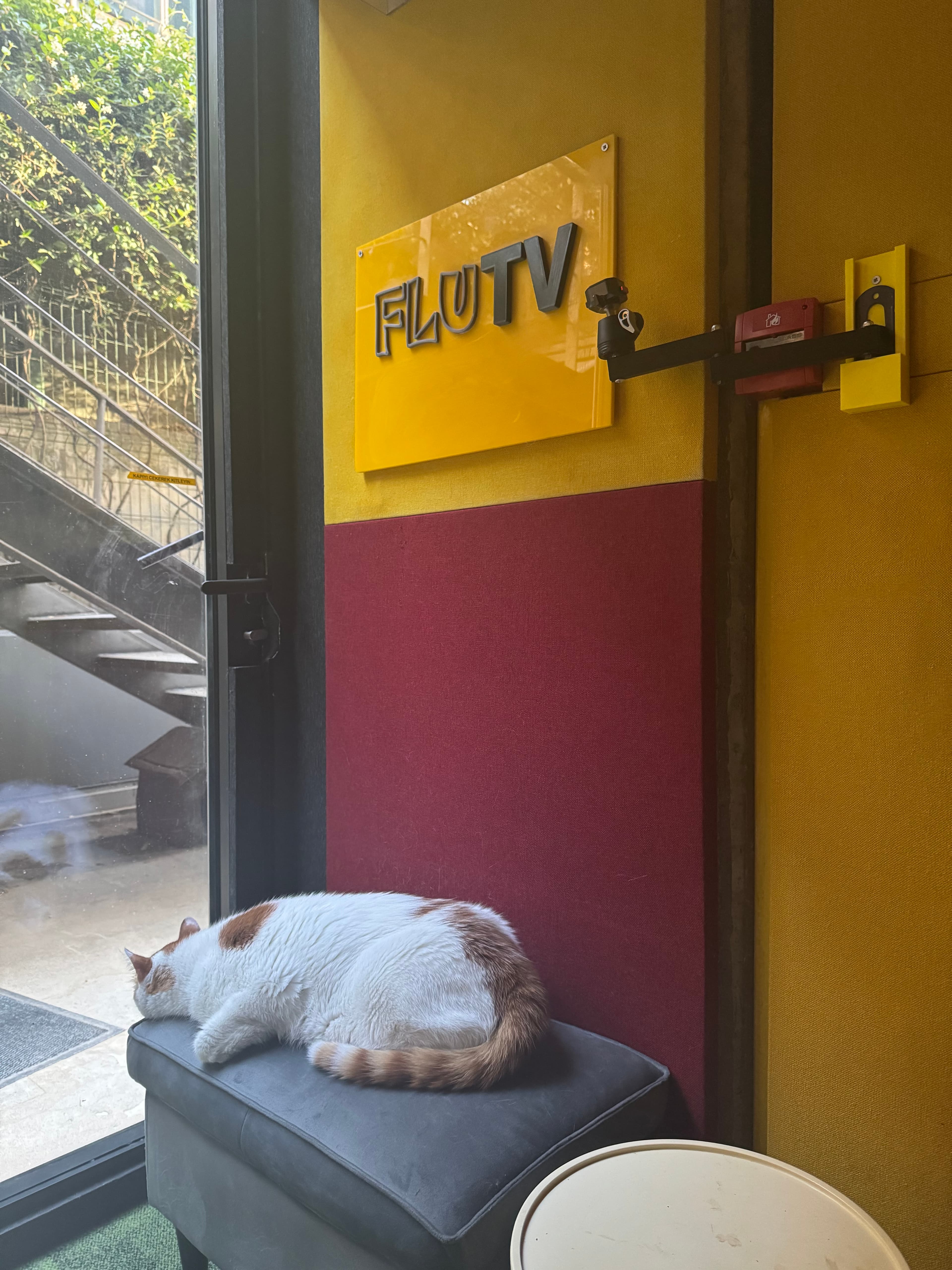 Teachfluence - Frontend Developer Intern image 5